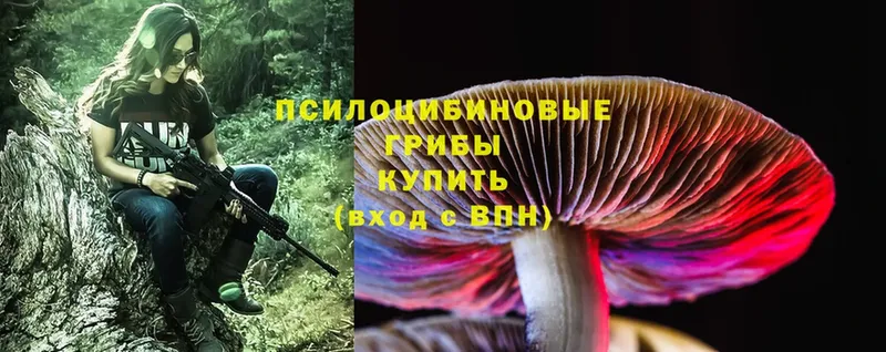 OMG сайт  купить наркотик  Зуевка  Галлюциногенные грибы Magic Shrooms 